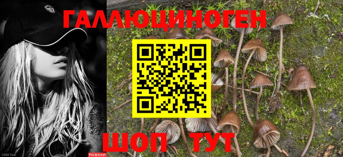 Луховицы  Галлюциногенные грибы Psilocybine cubensis  Вход с VPN  Псилоцибиновые грибы Magic Shrooms 
